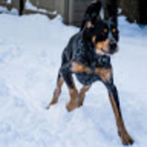 Meet your Posher, Gabrielle